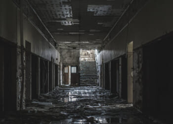 7 questions for Michigan’s new school superintendent – Mackinac Center