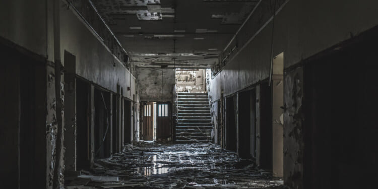 7 questions for Michigan’s new school superintendent – Mackinac Center