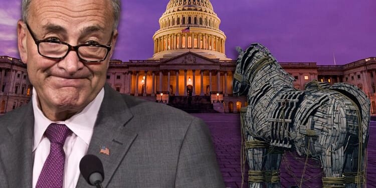 Ditching Chuck Schumer Seems To Be Common Thread Among Many Democrats Running For Senate