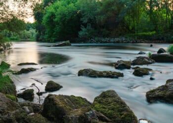 Harvard pushes bizarre ‘nature rights’ myth