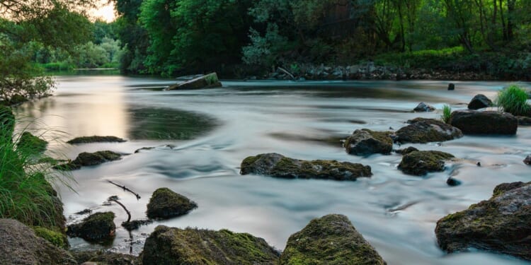 Harvard pushes bizarre ‘nature rights’ myth