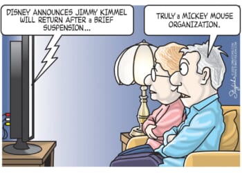 Mickey Mouse Organization | CDN