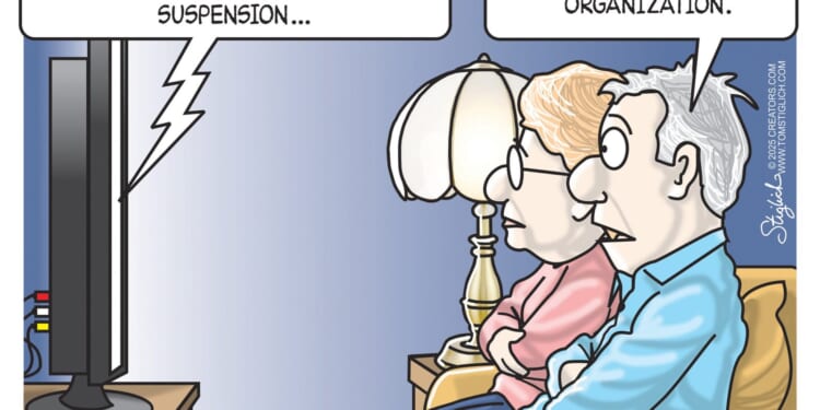 Mickey Mouse Organization | CDN