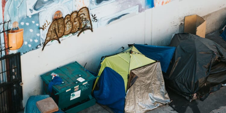Homelessness Services Audits