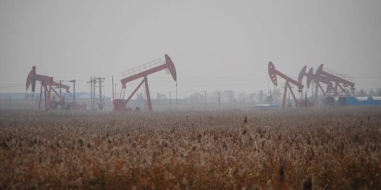 Shale Execs Complain Of ‘Broken’ Prospects In New Survey