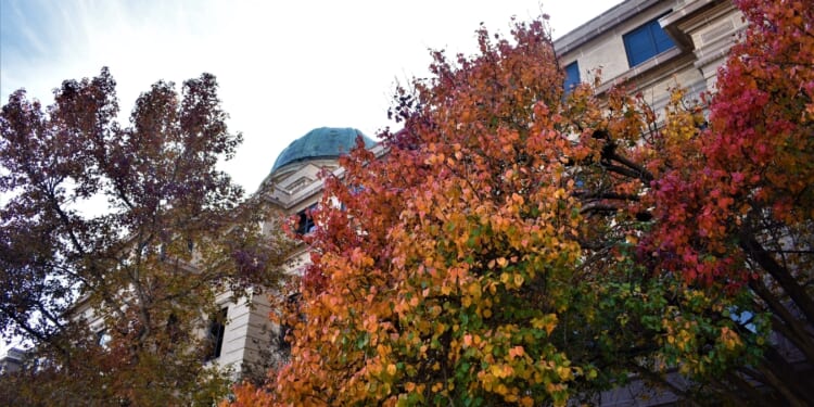 Texas A&M Failed to Report $100 Million in Qatari Funds—By Hiding Behind a Loophole