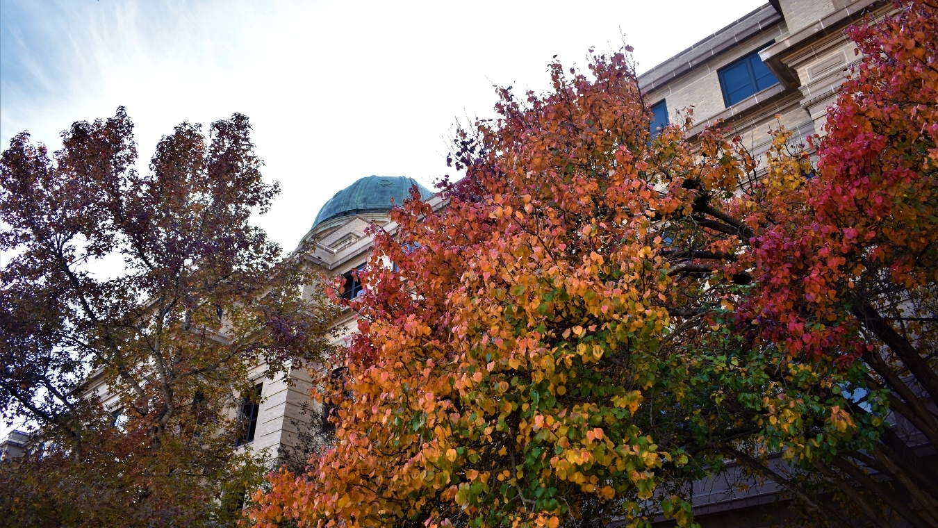 Texas A&M Failed to Report $100 Million in Qatari Funds—By Hiding Behind a Loophole