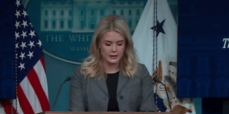 White House Press Sec Briefing on the Democrat Shutdown - 10/1/25