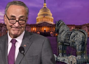 Democrats Chose Illegal Immigrant Benefits Over The American People, And Now the Government Is Shut Down