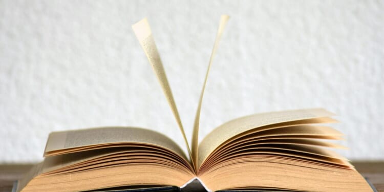 All schools win under new Michigan budget – Mackinac Center