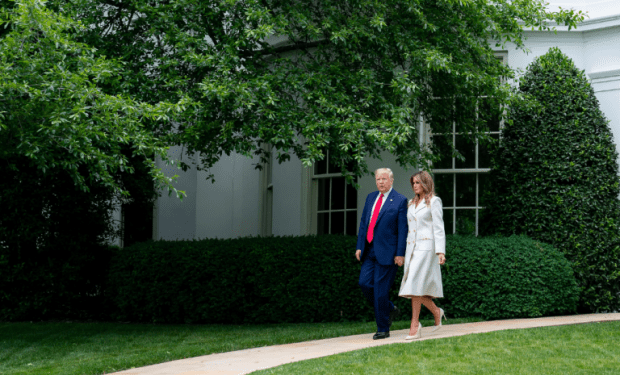 Creative Destruction Comes To Trump’s White House