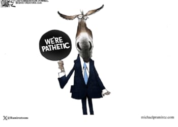 Democrat Redistricting Push Hits Brick Wall In Blue State