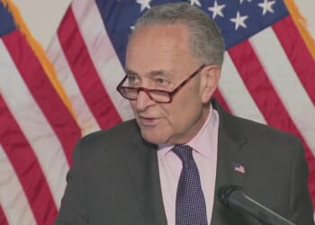 Democrats’ shutdown strategy labeled cynical
