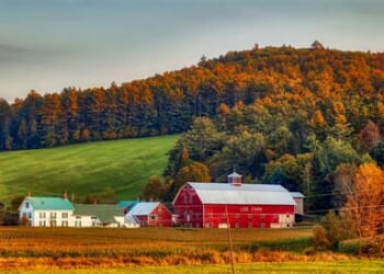 How to Rake Leaves Without Breaking Your Back (or the Bank)