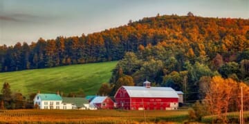 How to Rake Leaves Without Breaking Your Back (or the Bank)