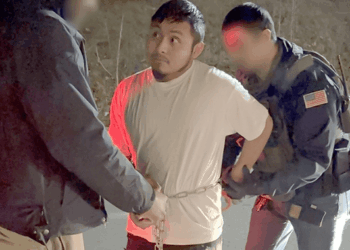 ICE Nabs Nearly 100 Illegal Migrant Truckers As Admin Cracks Down On Industry