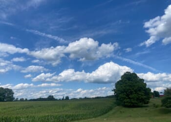 MEDC Admits Failure of Gotion Project Mackinac Center Warned About – Mackinac Center