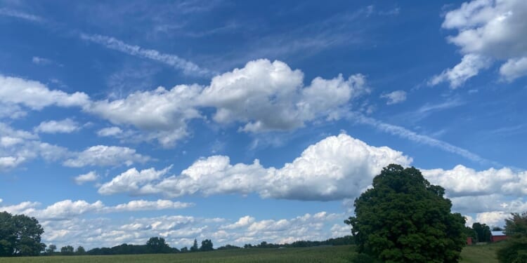 MEDC Admits Failure of Gotion Project Mackinac Center Warned About – Mackinac Center