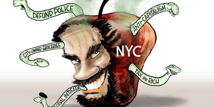 Mamdani is a Liar: Admits ‘Aunt’ In Hijab Sob Story Isn’t Actually His Aunt