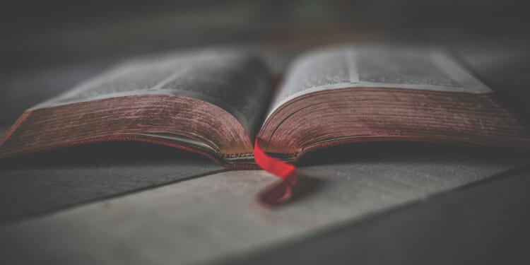 Meet the Leftist Organization That’s Been Influencing Texas History Courses