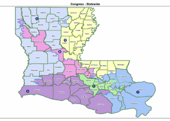 Louisiana Congressional Map (Credit: Screenshot /SB8 by Louisiana State Sen. Glen Womack)