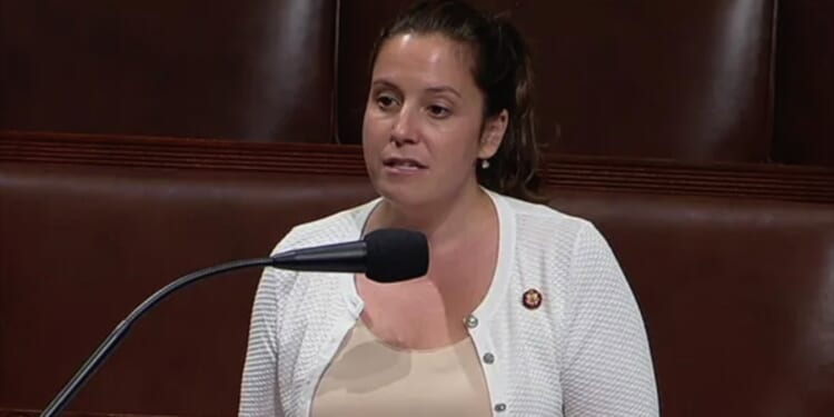 Stefanik book targets ‘moral rot’ at elite universities