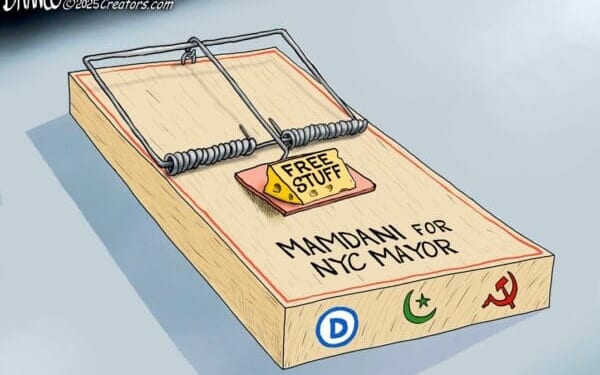 Tasty Trap Bait | CDN