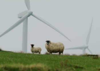 Wind power proves to be no utopia