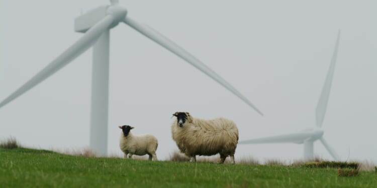 Wind power proves to be no utopia