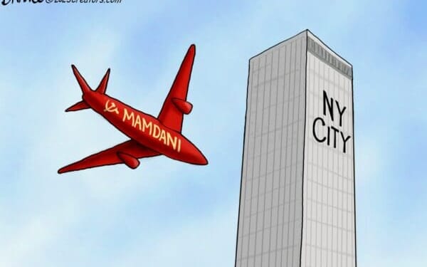 Zohran The Destroyer | CDN