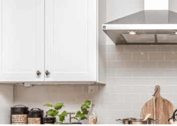 10 Ways to Get Rid of Ants Using Ordinary Stuff in Your Pantry