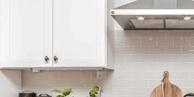 10 Ways to Get Rid of Ants Using Ordinary Stuff in Your Pantry