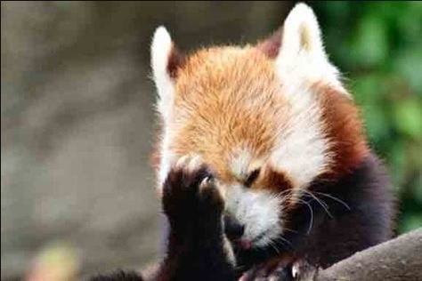 Dem Sen. Slotkin, Who Pushed Video Telling Troops To Disobey Trump, Forced To Admit She Can’t Name One Illegal Order