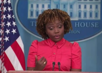 Former Biden flack shatters liberals’ faith in DEI