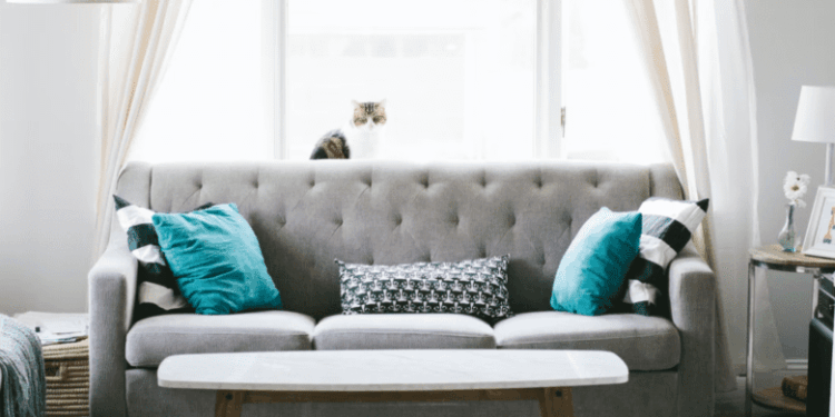 How to Clean the Dirty Edges of Carpet