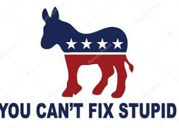 Leftists Hailing Recent ‘Victories’ Are Delusional