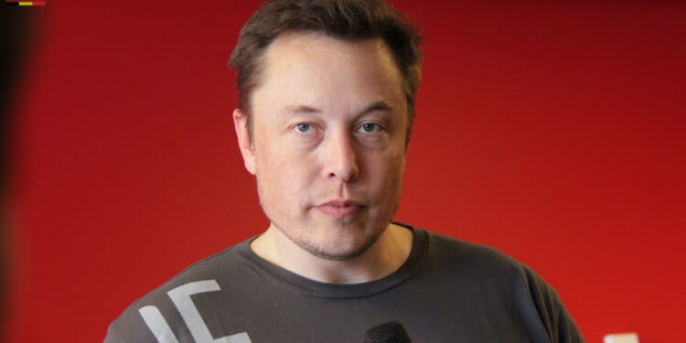 Musk exposes divisive X fraudsters