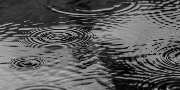 New WOTUS rule would stop federal regulation of puddles