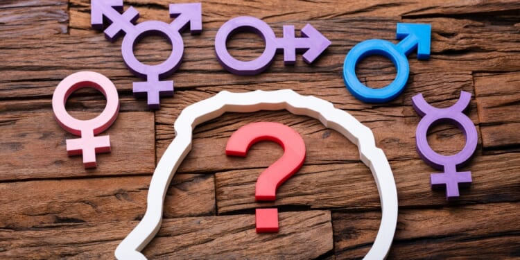 Parents’ Bill of Rights Ends They/Them Fight