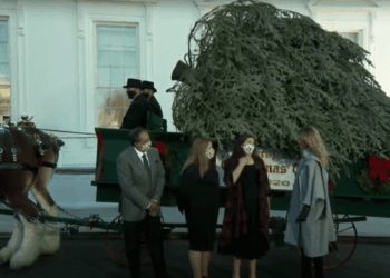 President Donald Trump's Schedule for Monday, November 24, 2025