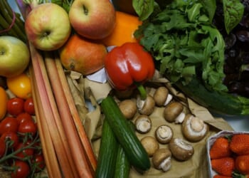 SNAP, DC’s Shutdown, & Ending the Welfare State