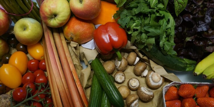 SNAP, DC’s Shutdown, & Ending the Welfare State