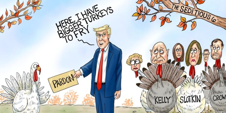 Seditious Turkeys | CDN