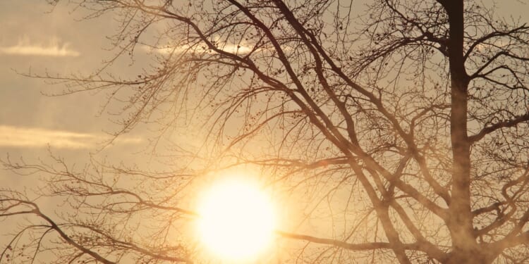 Survey shows little confidence in climate talks