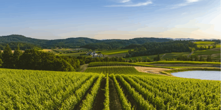 Thanksgiving A Time To Thank Struggling American Farmers