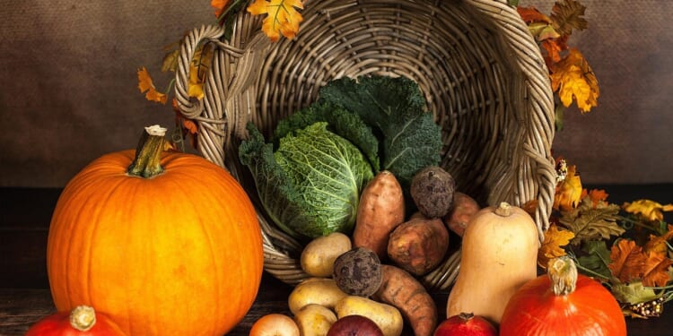 Thanksgiving costs dip, offering families a bit of relief