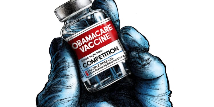 The Fix for Obamacare