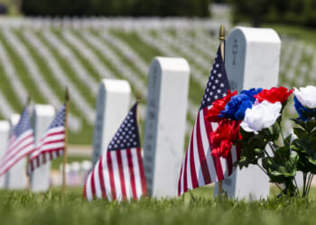 Thoughts for Veterans Day