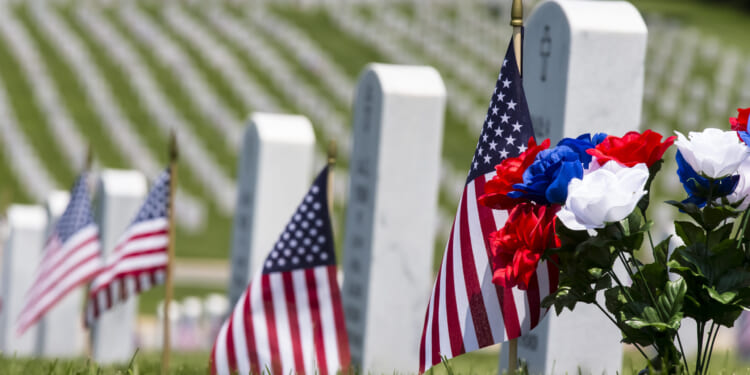 Thoughts for Veterans Day