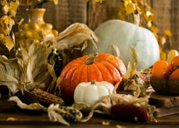 Three policy reforms to be thankful for on Thanksgiving Day – Mackinac Center